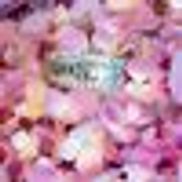 Clater Jewelers Diamond Center