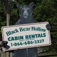 Black Bear Hollow Cabin Rentals Townsend Area Alignable