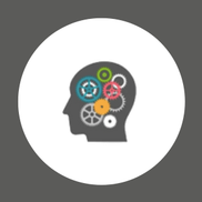Mind Mechanics LLC