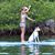 Paddle Board The Keys