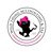 Wild Thing Accounting & Tax, LLC