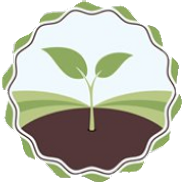 Genesis Landscaping