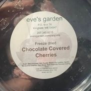 Eve's Garden
