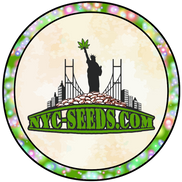 Nyc-seeds.com