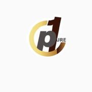 Pure 1 Acoustical Services LLC (Acoustic ceiling)