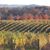 Cool Ridge Vineyard, Hagerstown MD