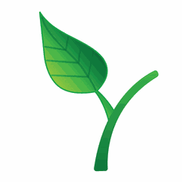 Yavapai Landscaping Prescott