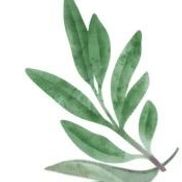 Sage Hematology and Oncology