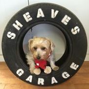 Sheaves Garage