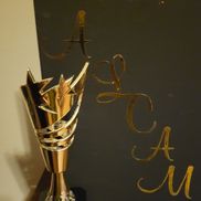 ALCAM Community Action Motivators, Inc.
