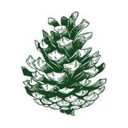 Bristlecone Companies