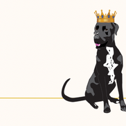Barking with the Bradley’s