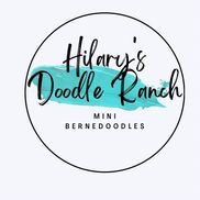 Hilary's Doodle Ranch, Mount Pleasant TX