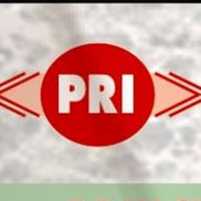 Progress Realty Inc