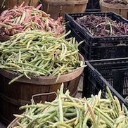 J & J Martin Produce