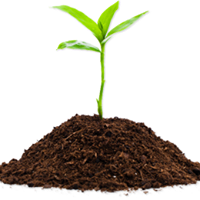 Organic Waste Management, LLC, Malden MA