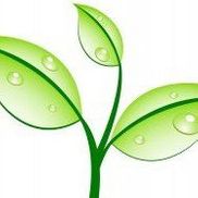 Growth Strategies LLC, Colchester VT