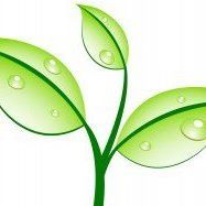 Growth Strategies LLC, Colchester VT