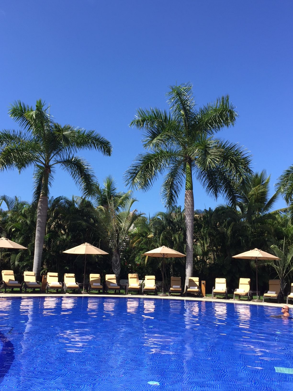 Sun Connections Travel & Cruises, LLC, Beaverton OR