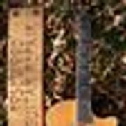 Rosewood Guitar Repair