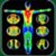 NORTHEAST THERMOGRAPHY (an Affiliate of Medical Thermography Associates)