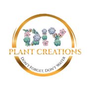 DIY Plant and Home Creations