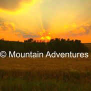 View of 29 Backyard Pool Ideas for 2026 Where Design Replaces Basic Layouts