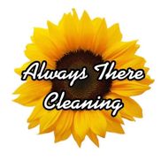 Always There Cleaning LLC, Catskill NY