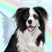 Rainbow Bridge Memorial Jewelry