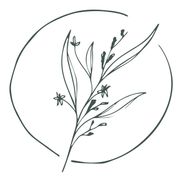 Her Resilience LLC. Jackie Meyer Nutrition