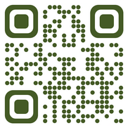 BConverse Consulting Team, College Station TX