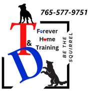 T&D Forever Home Training at The Dog Lounge