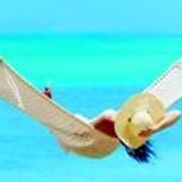 Clausen Properties, Vacation Rentals - escapetomarco.com