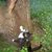 Allegany County Trap, Neuter, Return