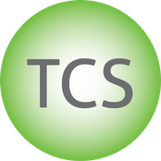 The Cleaning Software