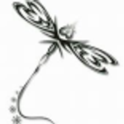The Dragonflies Den