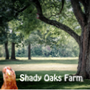 Shady Oaks Farm