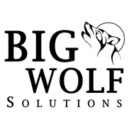 Big Wolf Solutions, McDonough GA