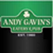 Andy Gavin's