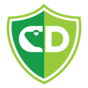 CD Technology - IT Services