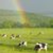 Sunset View Creamery