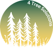 4 Tree Solutions