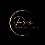 ProServicing LLC