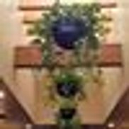 Plant Pros of Lincoln