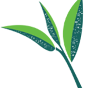 Garden Dreamscapes LLC