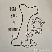 Bones Bugs N Oddities Co