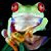 lost world reptile store