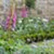 Ed Castro Landscape Inc
