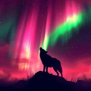 Night Wolf Media