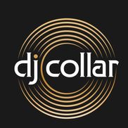 dj collar, Fort Collins CO